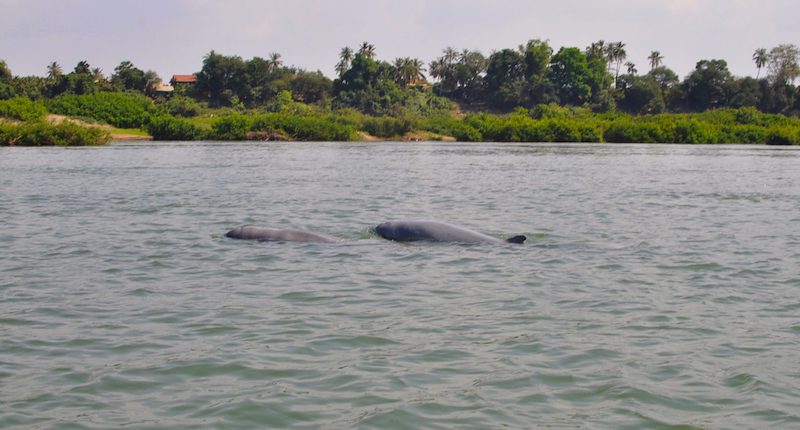 Cambodia