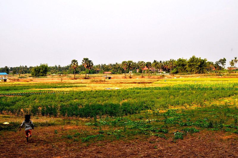 Cambodia