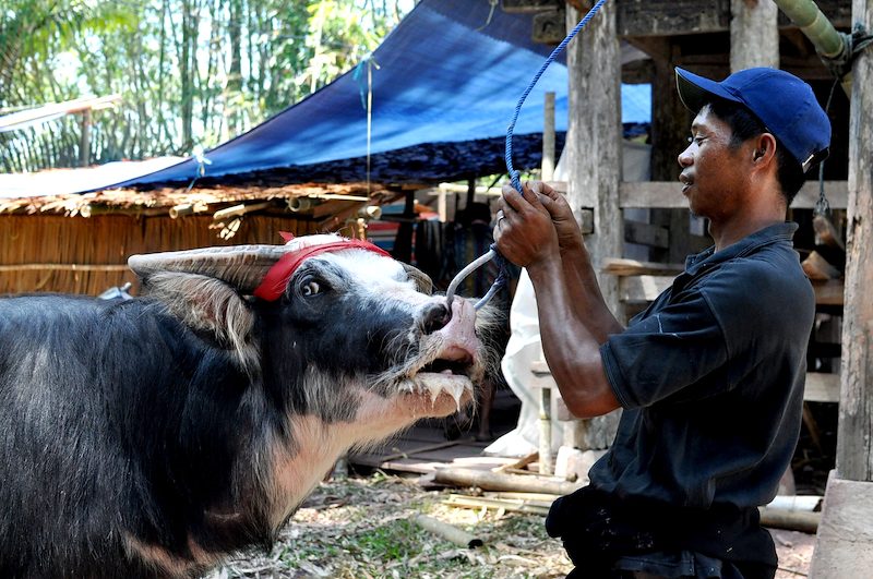 Indonesia