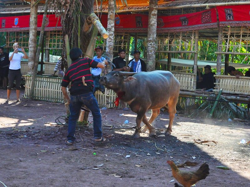 Indonesia
