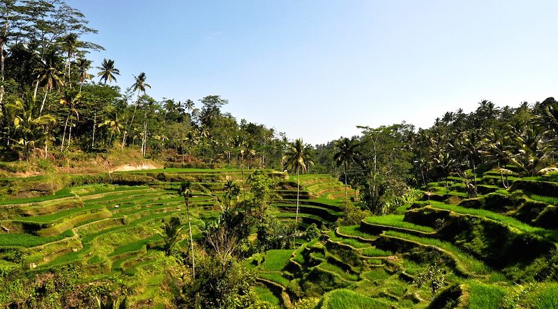 Indonesia