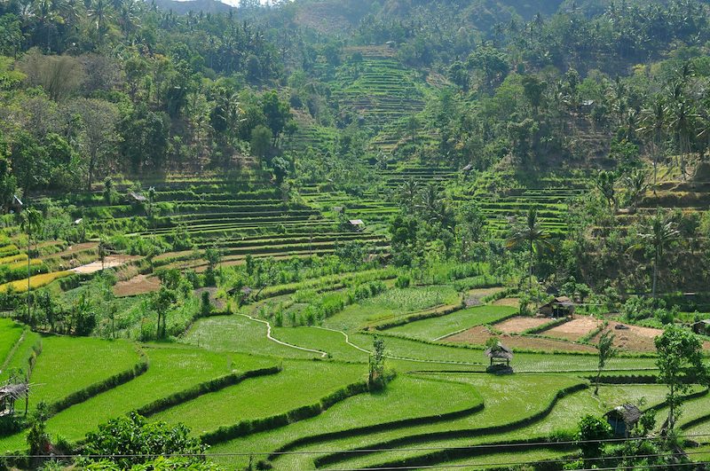 Indonesia