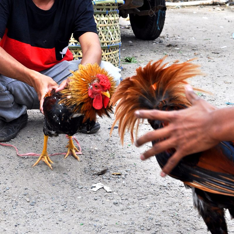 Indonesia