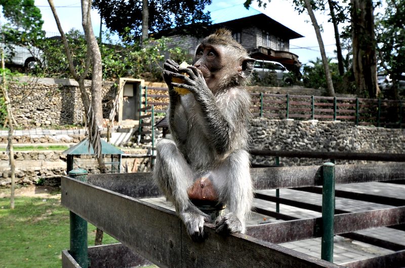 Indonesia