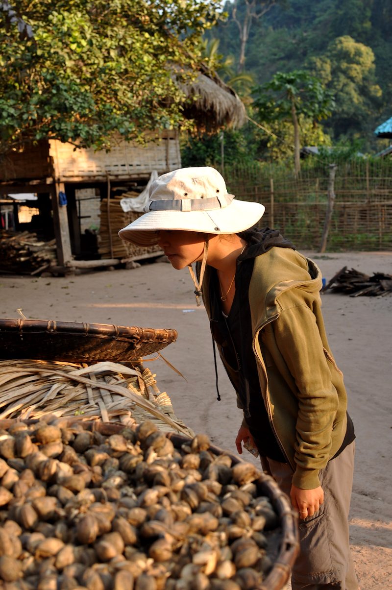 Laos