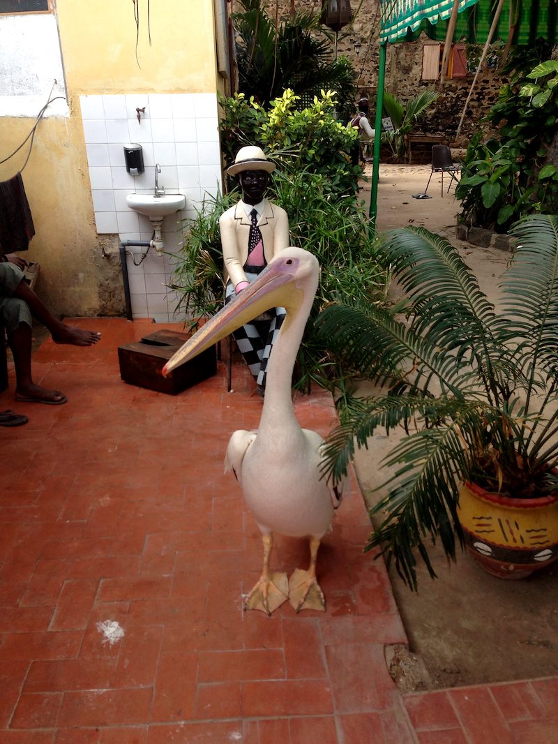 MY FIRST TRIP TO AFRICA
