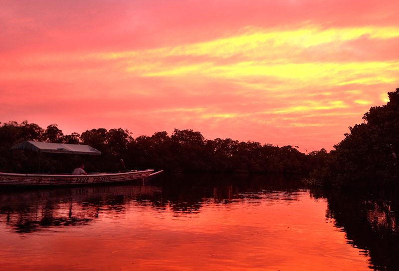 Sunset around the birds island