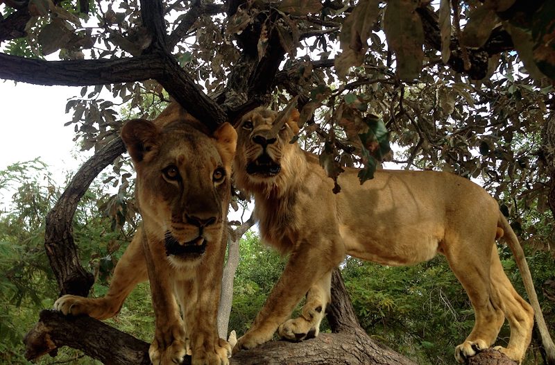 MY FIRST TRIP TO AFRICA