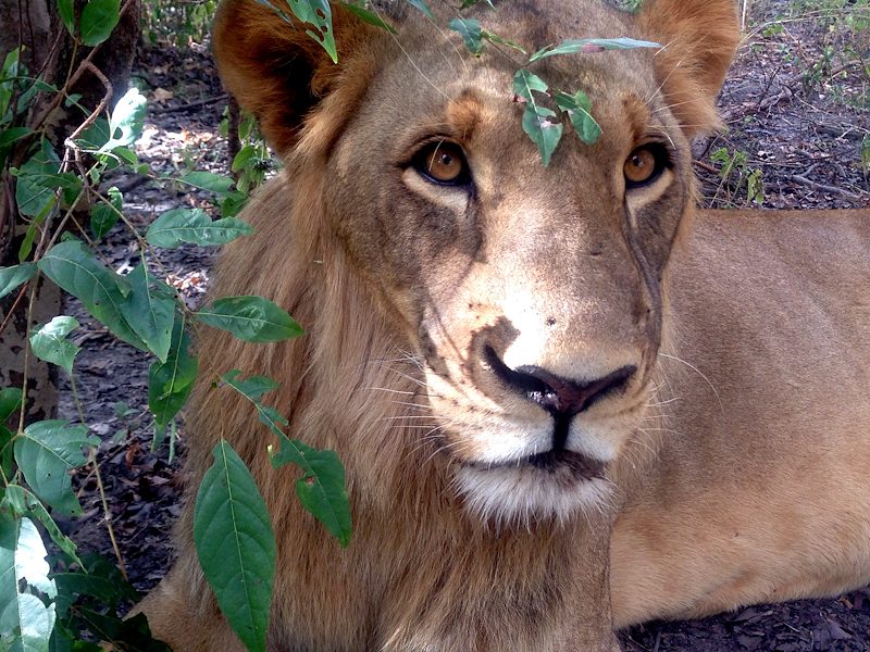 MY FIRST TRIP TO AFRICA