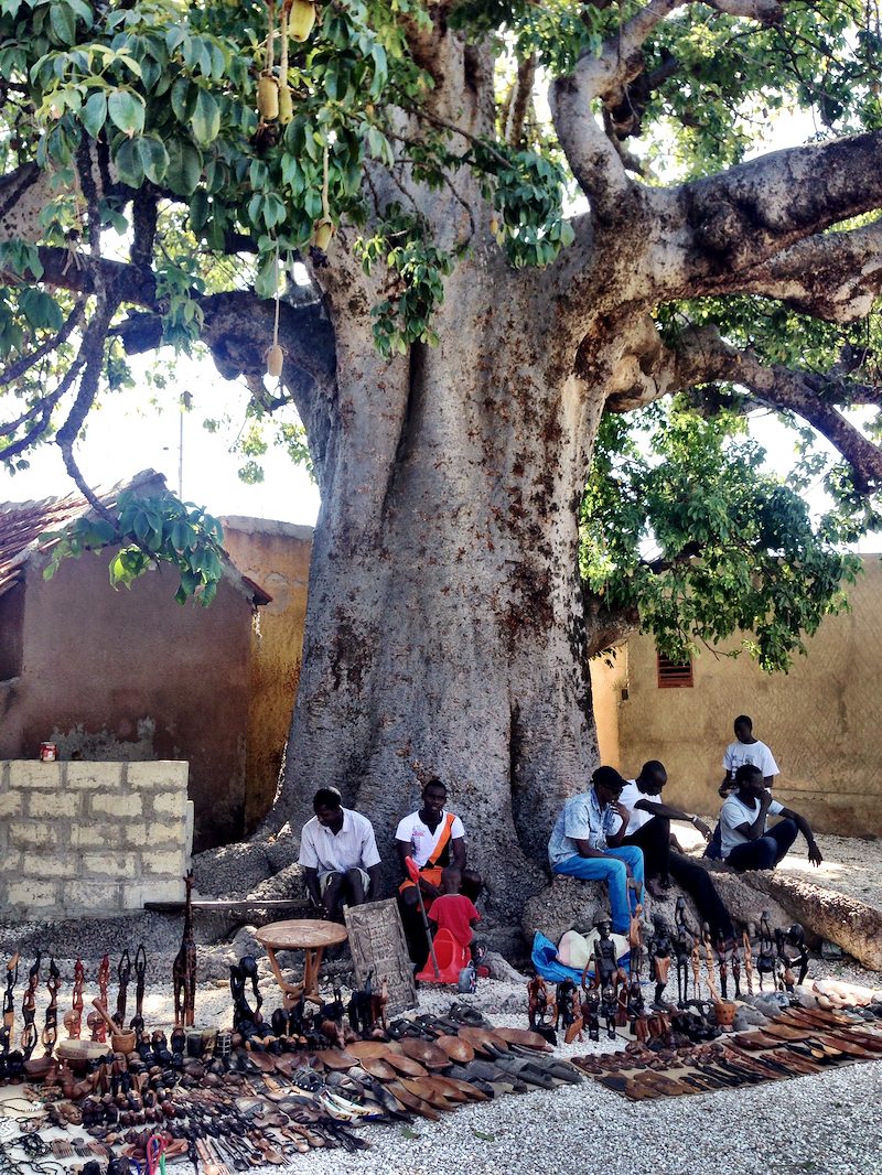 Baobab