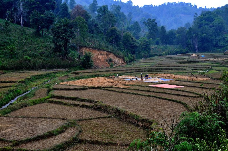 Myanmar