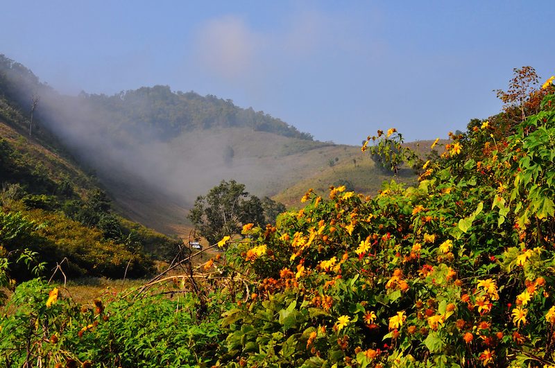 Myanmar