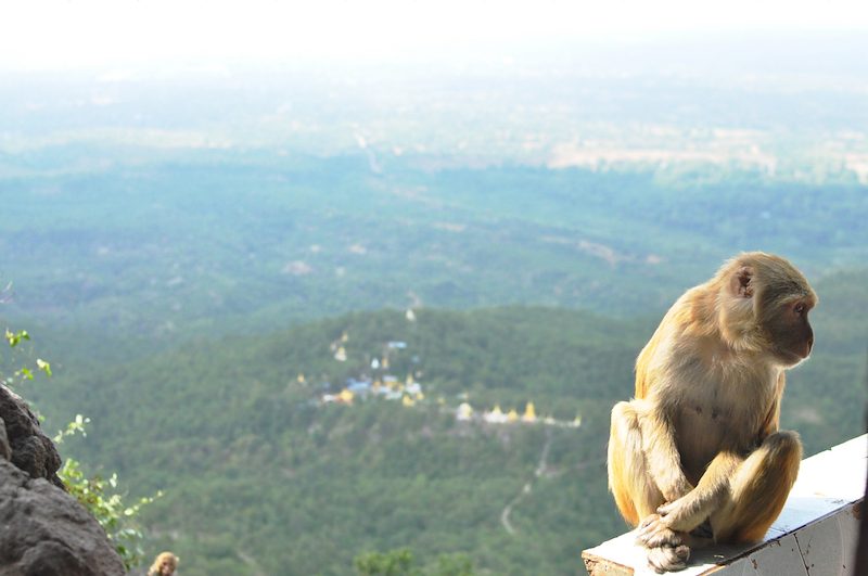 Myanmar