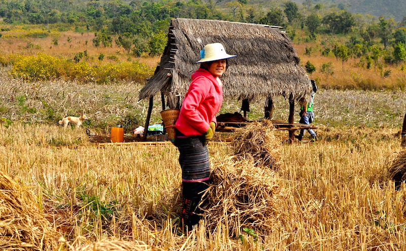 Myanmar