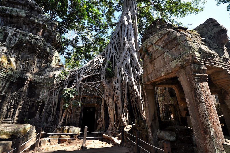 Angkor (Cambodia)
