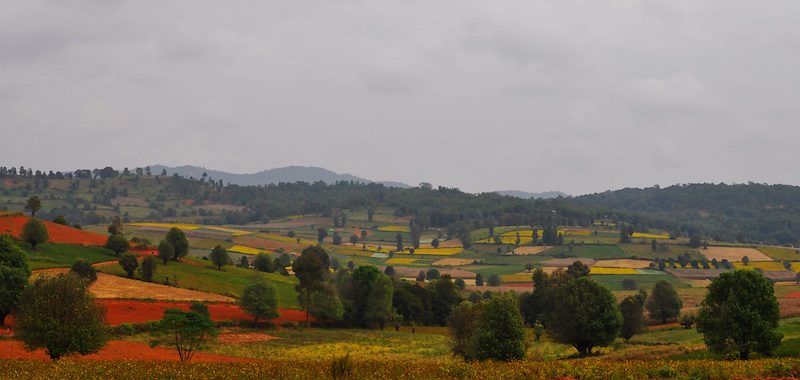 Kalaw (Myanmar)