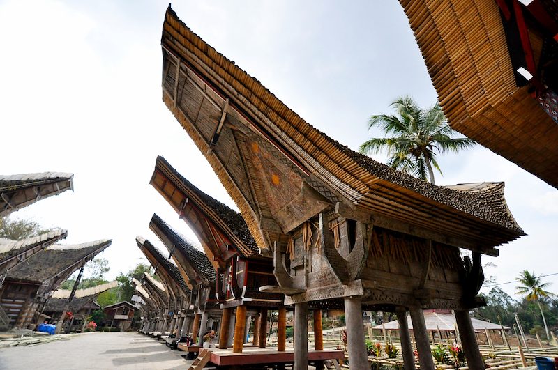 Sulawesi (Indonesia)
