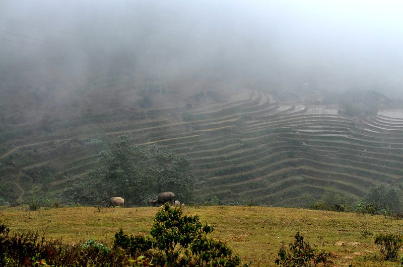 Vietnam